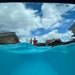 L'adret Du Temps 10 Personnes 170m2 * Gérardmer