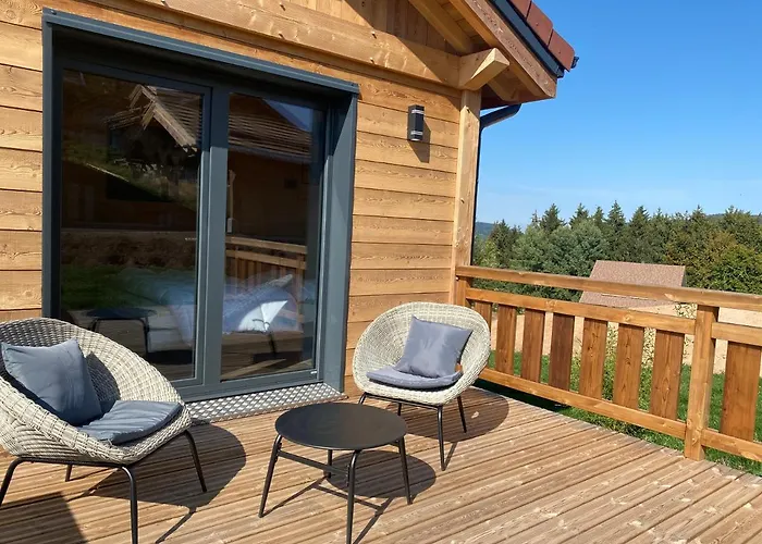 L'adret Du Temps 10 Personnes 170m2 * Gerardmer